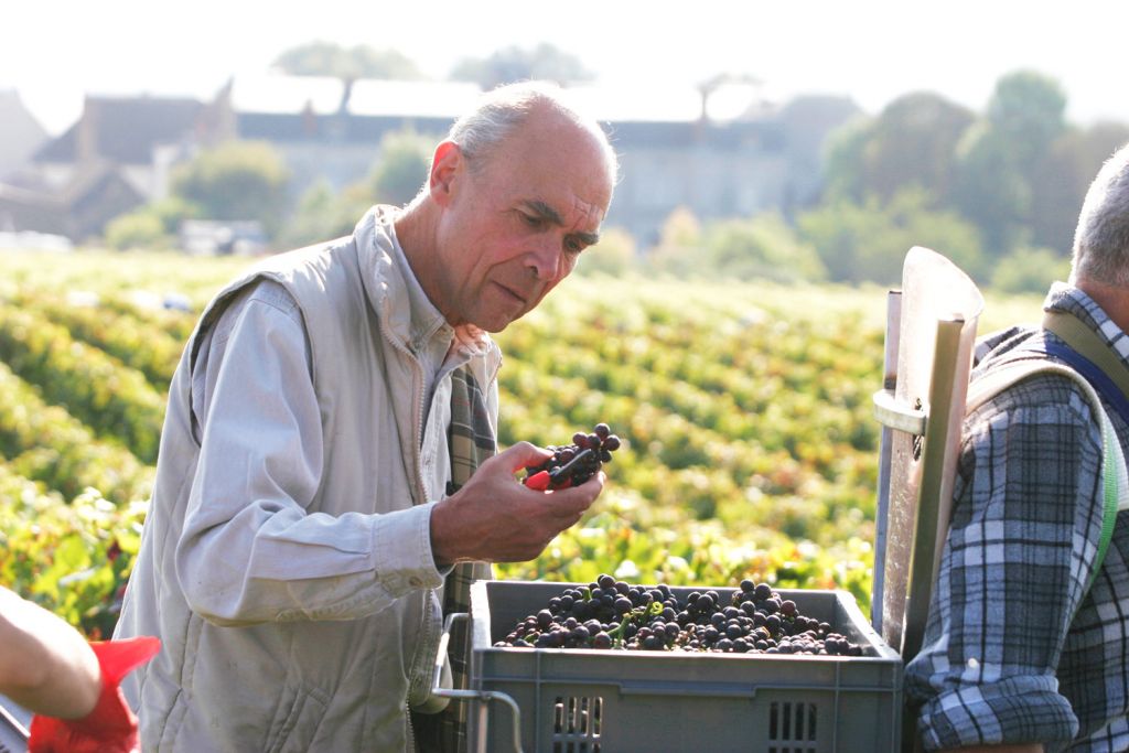 Aubert de Villaine, the co-director of Domaine de la Romanée-Conti vineyards