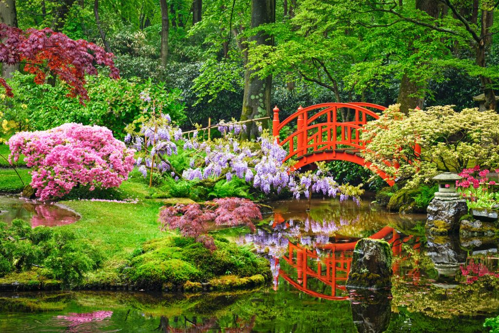 Ancient Japanese Gardening Practices, Japanese Garden Pictures Images And Photos
