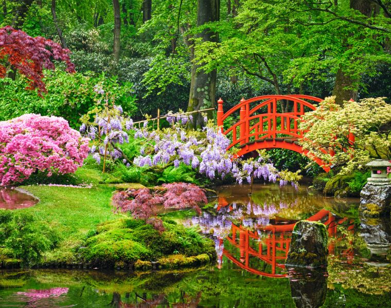 Benefits of Ancient Japanese Gardening Practices