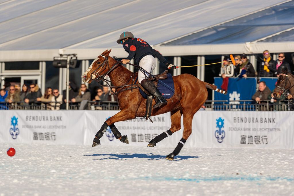 Intocat in action at the 2020 Snow Polo World Cup Kitzbühel