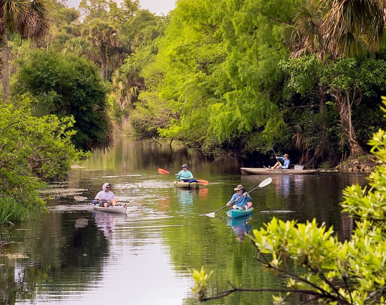Kayaking in the Palm Beaches Mangroves