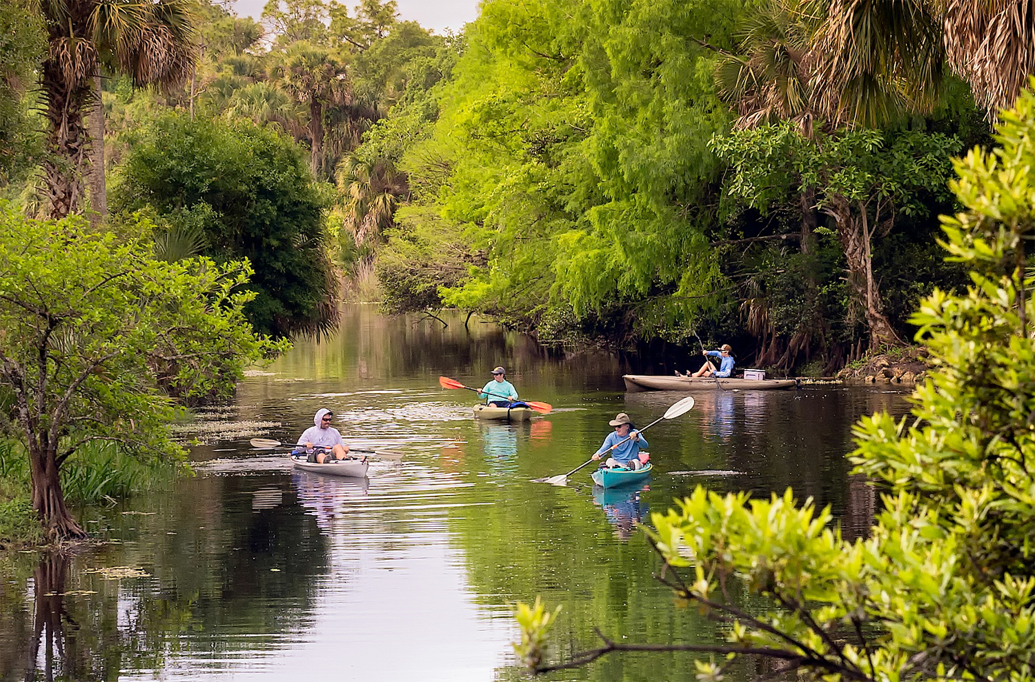 2020 Guide To Exploring The Great Outdoors In The Palm Beaches