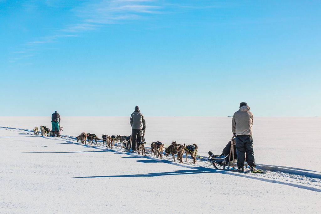 Off the Map Travel Scandinavian Six Dog Sledding