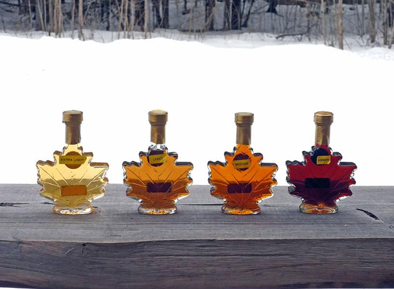 The iconic maple syrup season in Ontario