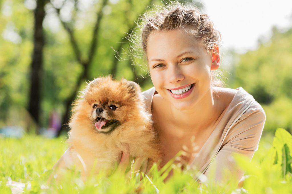 How Coronavrius Will Affect Your Dog