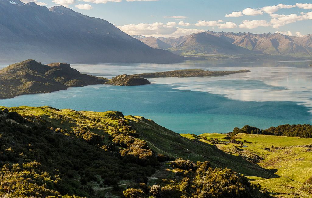 Common Sense is Needed Help New Zealand's Hospitality Industry