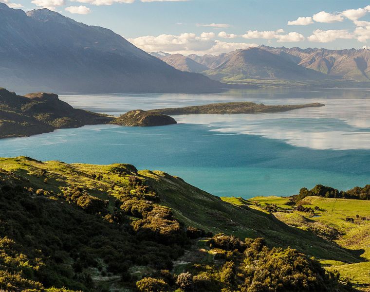 Common Sense is Needed Help New Zealand's Hospitality Industry