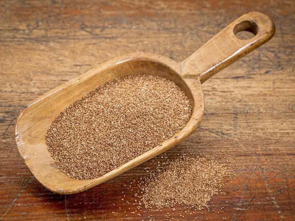Tobia Teff flour grain