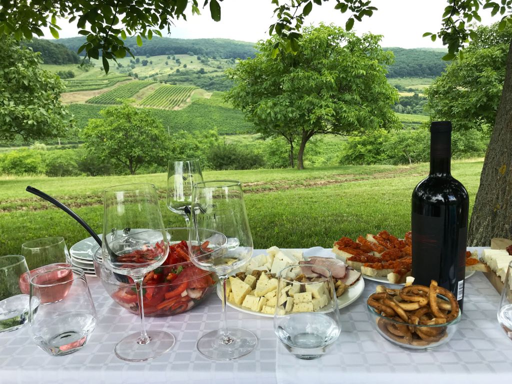 Ffestiniog Travel Wines of Southern Romania