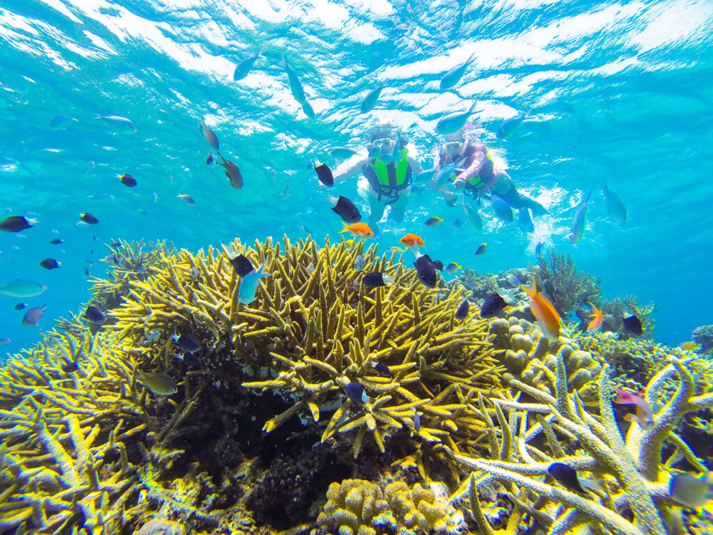 Snorkeling in the YaeYama Islands