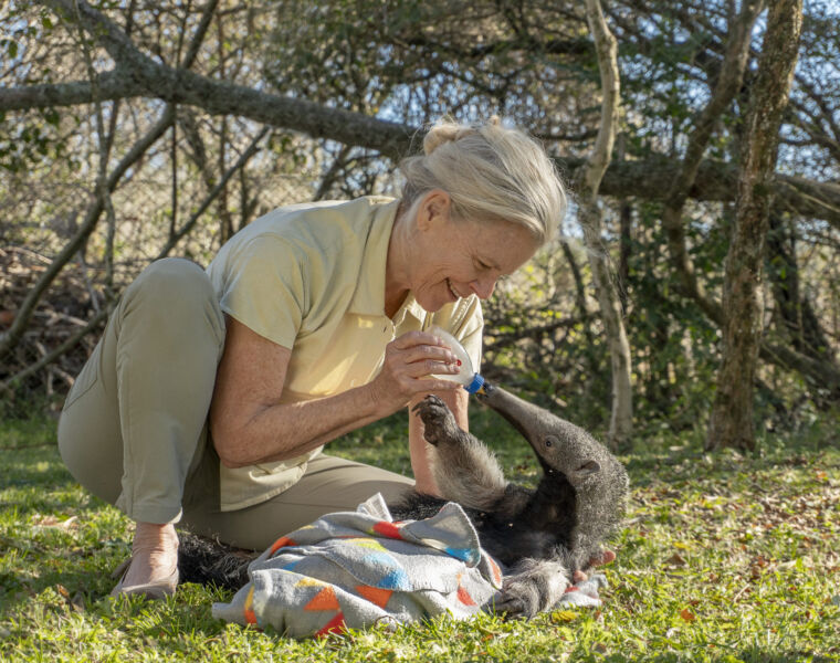 Meet Kristine Tompkins, The Woman Saving the World's Wildlife
