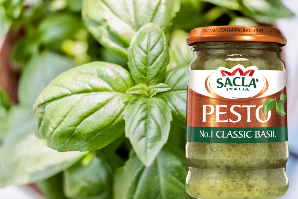 Sacla No 1 Classic Basil Pesto