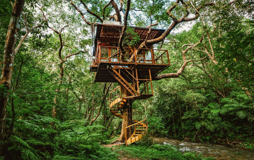 Experience 'Komorebi' at Treeful Treehouse on Okinawa Island in 2021