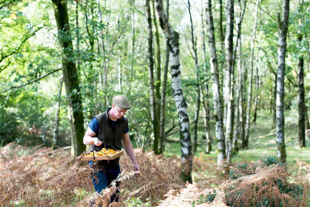 Chef Kevin Tickle foraging for ingredients in the forest