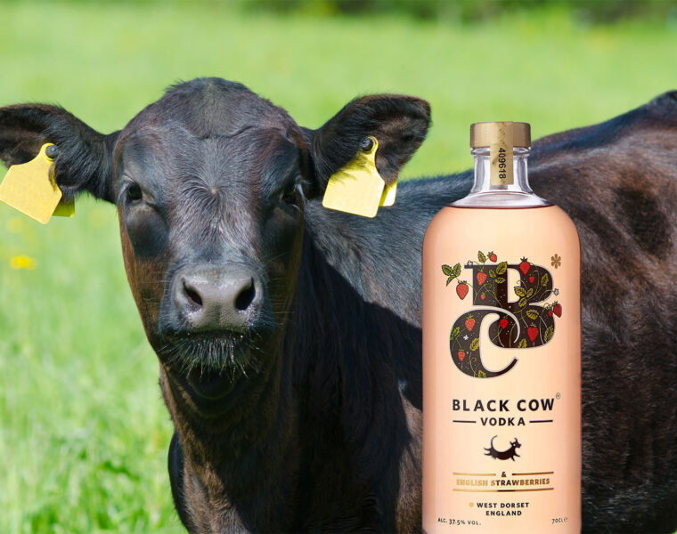 A Taste Of Summer With Black Cow & English Strawberries Vodka
