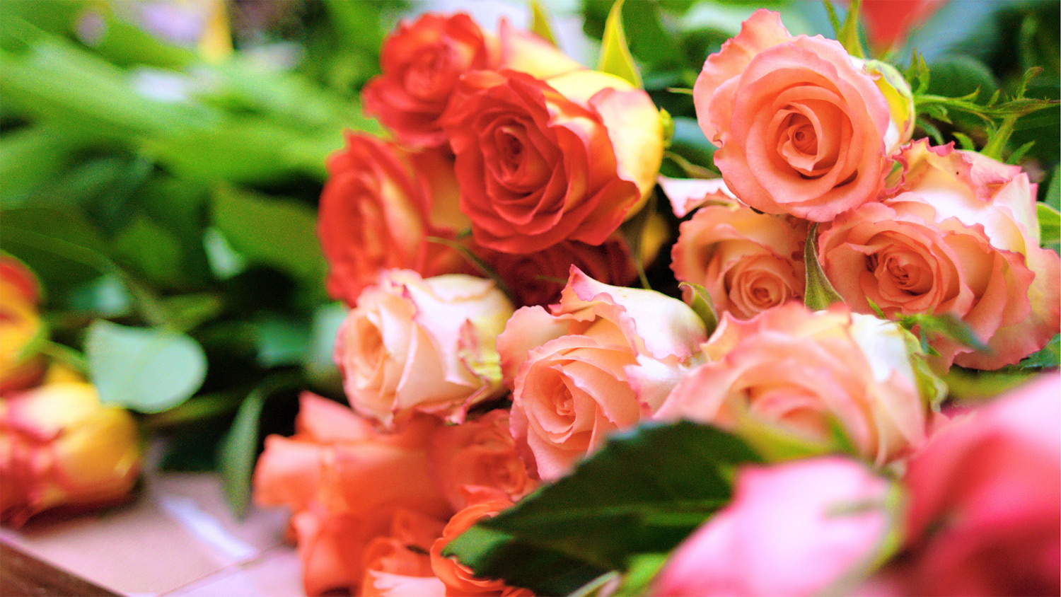 Shannen Godwin Reveals The Simple Way To Have Fresh Flowers Every Day