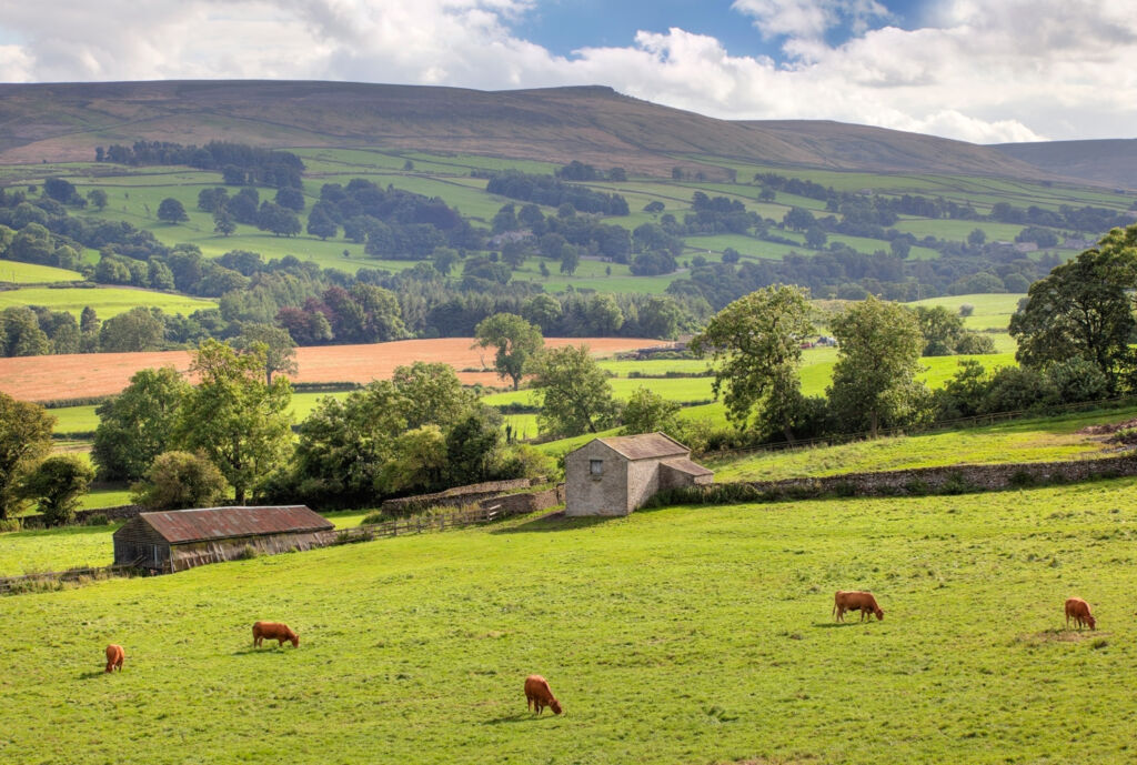 Farmison & Co Brings Heritage Meat from the Dales to Your Door