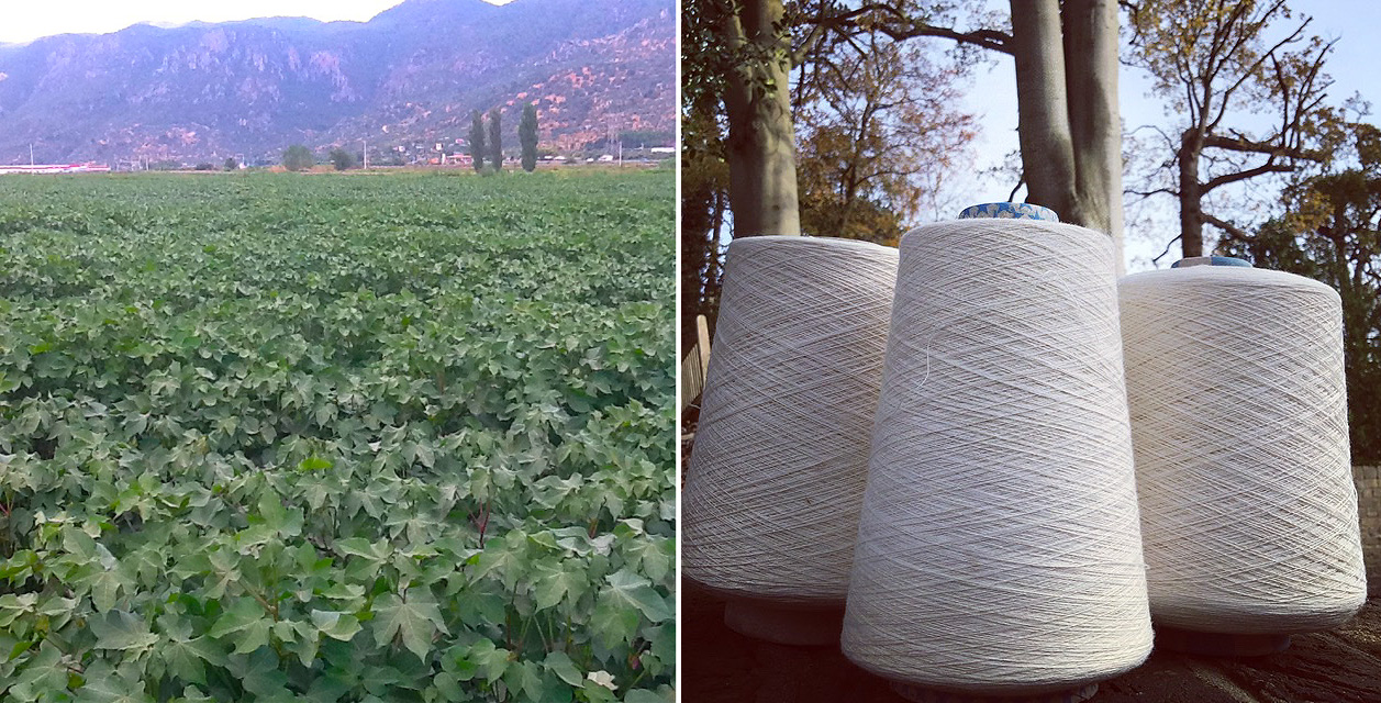 Collingwood & Hay's Quest To Create The Best Towel In The World