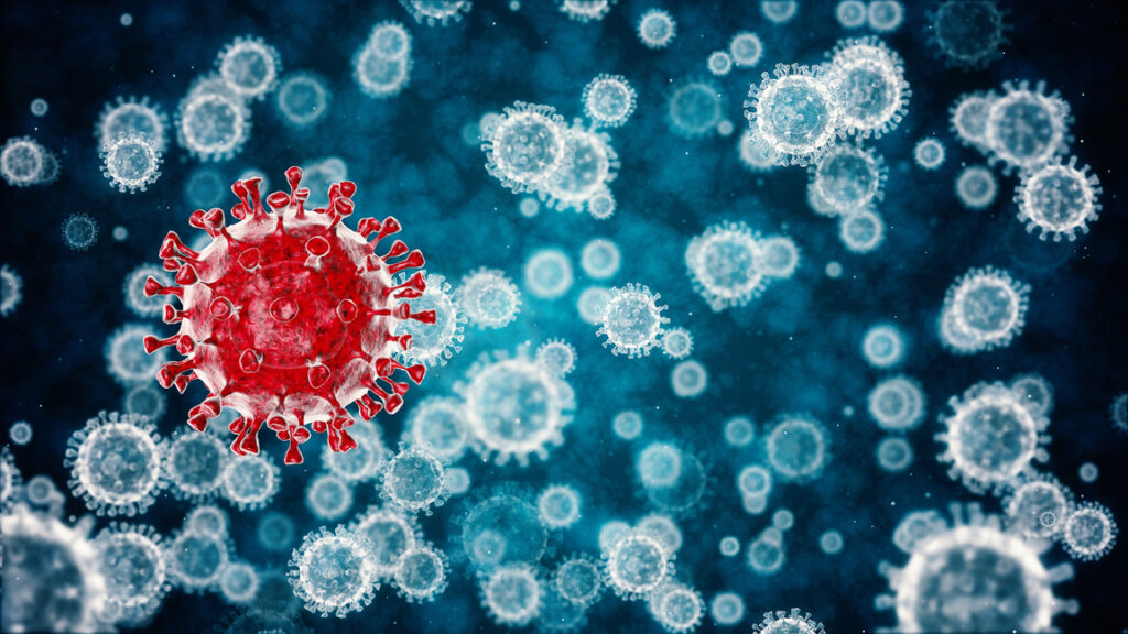 An image showing the COVID-19 virus