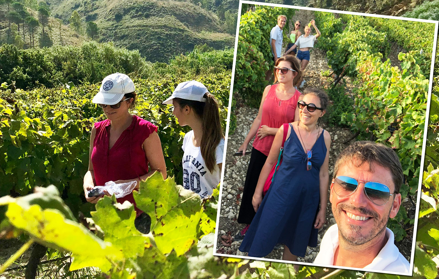 In Conversation With Sicilian Organic Natural Wine Producer Salvatore