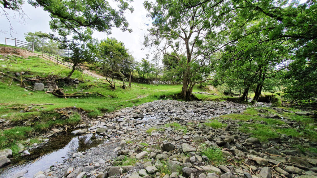 A stoney creek in the Sedbergh countryside