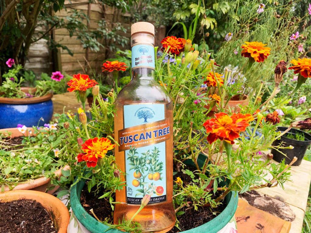 A bottle of the Non-Alcoholic Aperitivo out in the garden