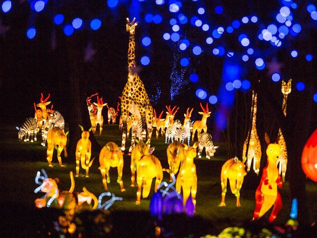 Some of the animals made with lights