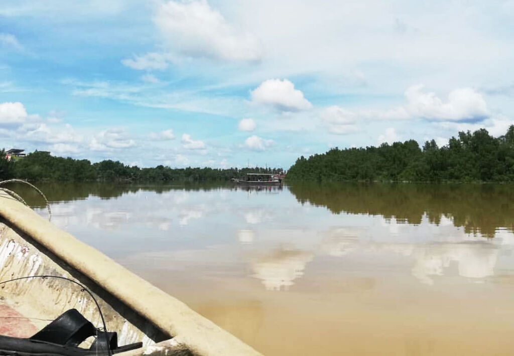 Exploring the mangrove forest by boat in Pasir Penambang