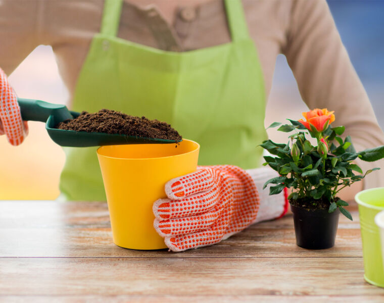 The 5 Biggest Mistakes People Make When it Comes to Soil