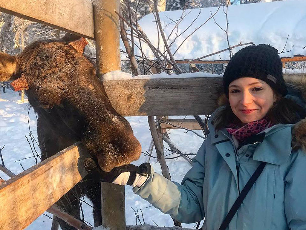 A woman meeting a friendly moose