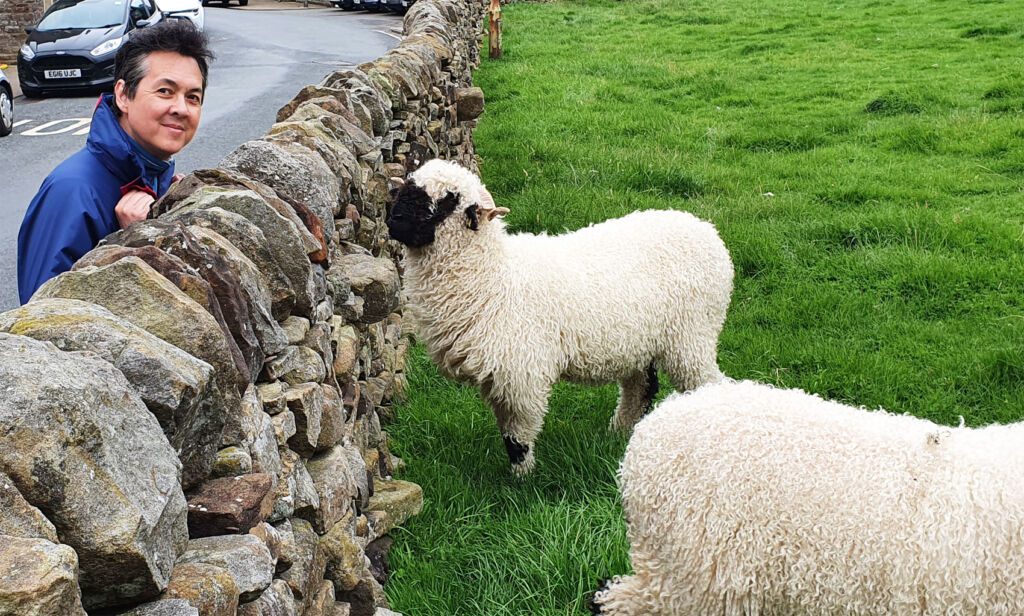 Paul Godbold meeting some Black Nose Valais Sheep in Lancashire