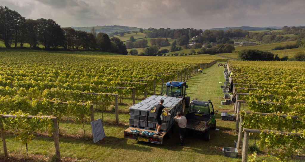 Machinery helping with harvesting on the estate
