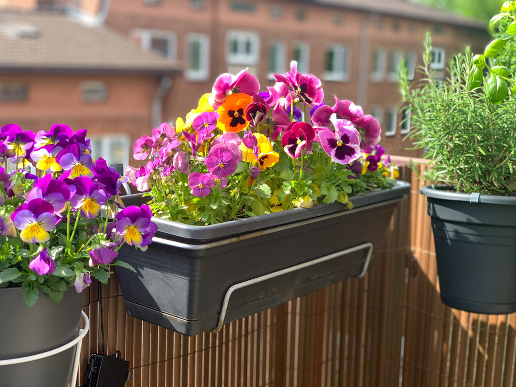 An Experts Insight into What Will Be the Gardening Trends in 2022