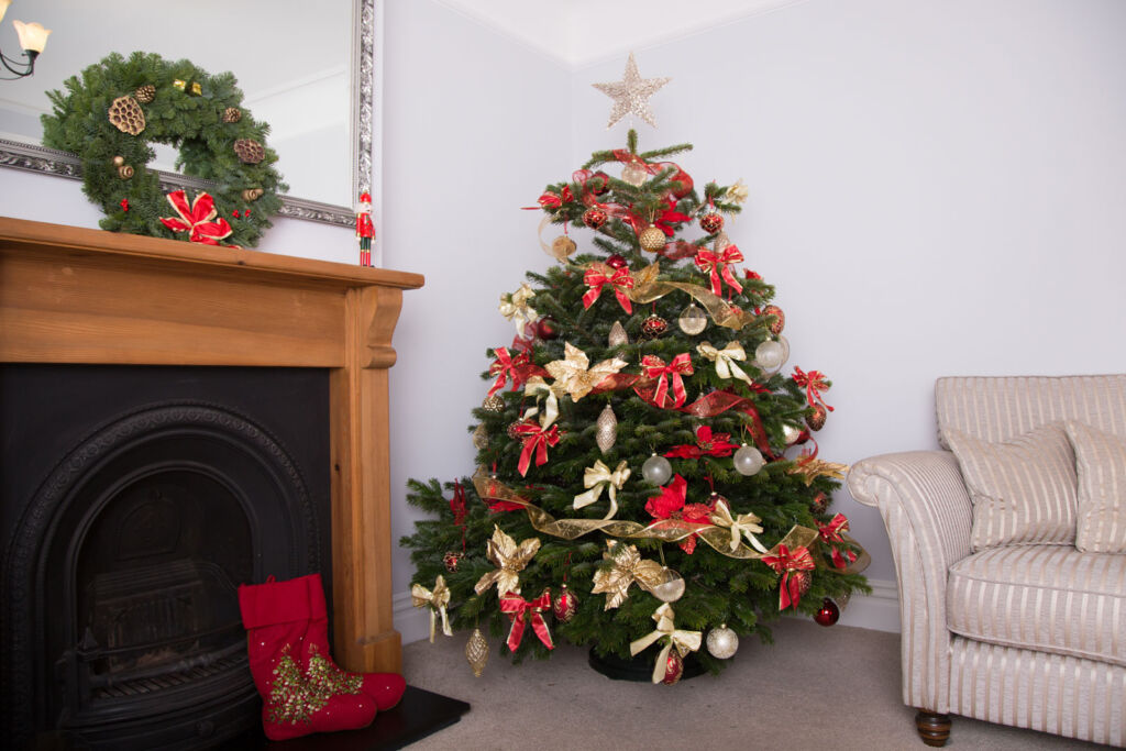 A well positioned real Christmas tree in a reception room