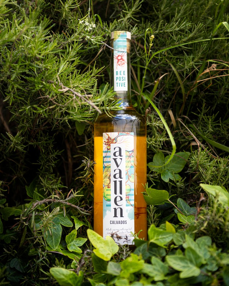 A bottle of Avallen Calvados, a sustainble drink