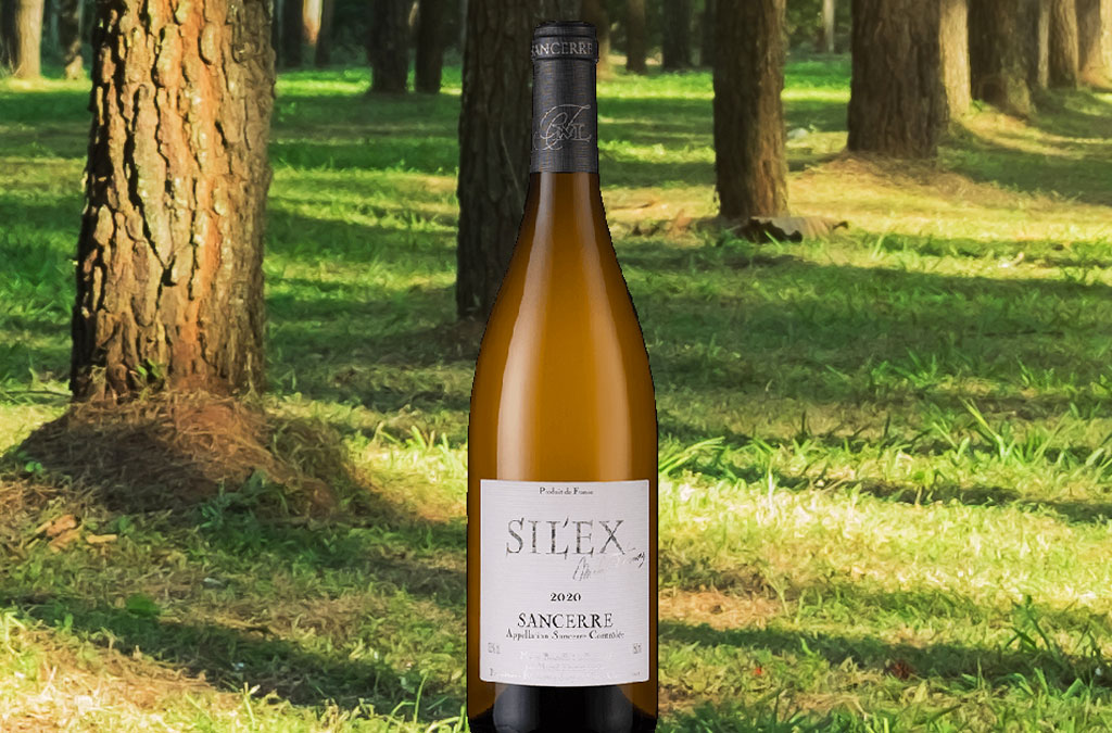 A bottle of Domaine Michel Thomas Sancerre ‘Silex’, 2020 in the forest