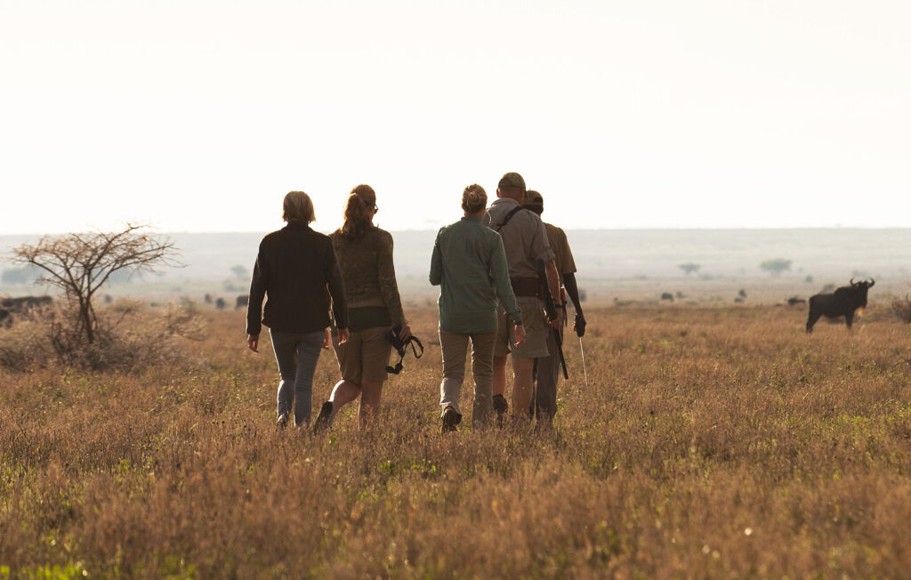 People going on a hike to study the wildlife while on an African Safari