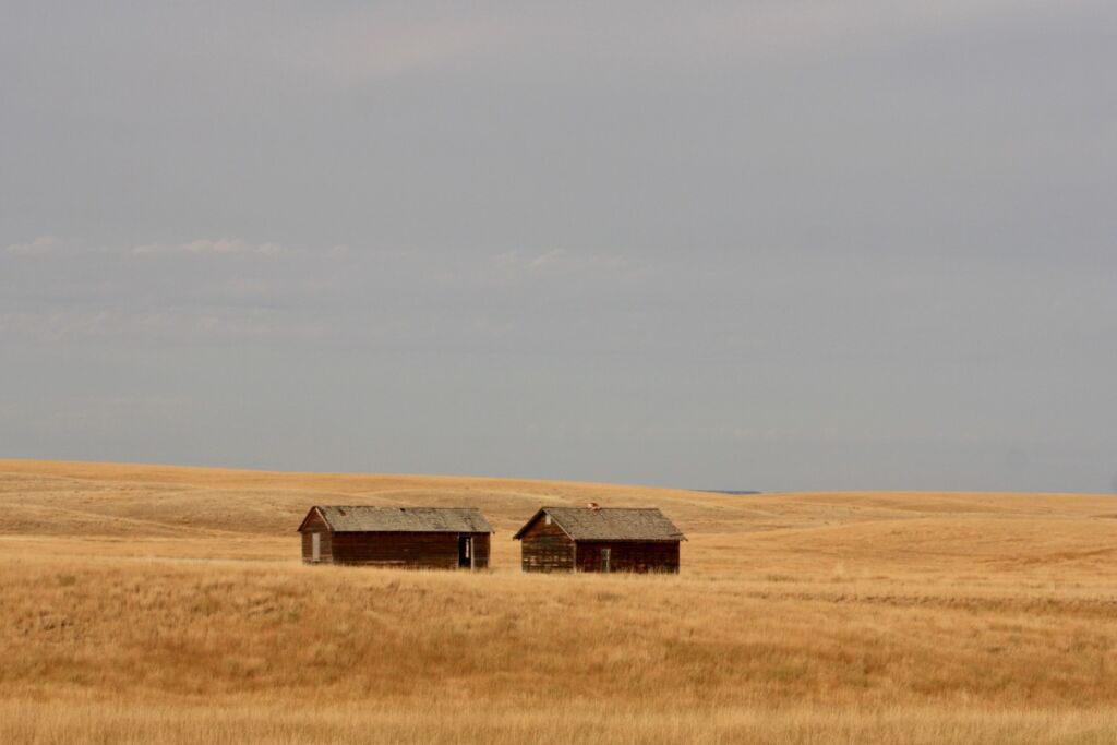 The expansive prairie in Grasslands National Park