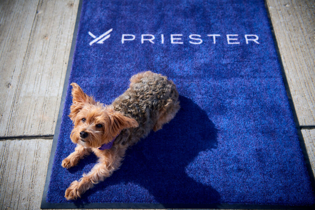 A terrier dog laying on one of the company's welcome mats