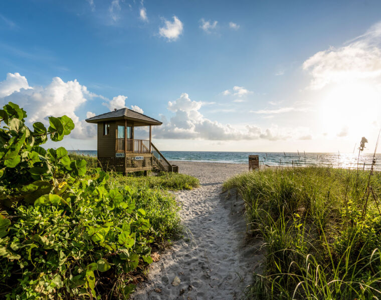 Five Excellent Reasons to Head to The Palm Beaches in 2022