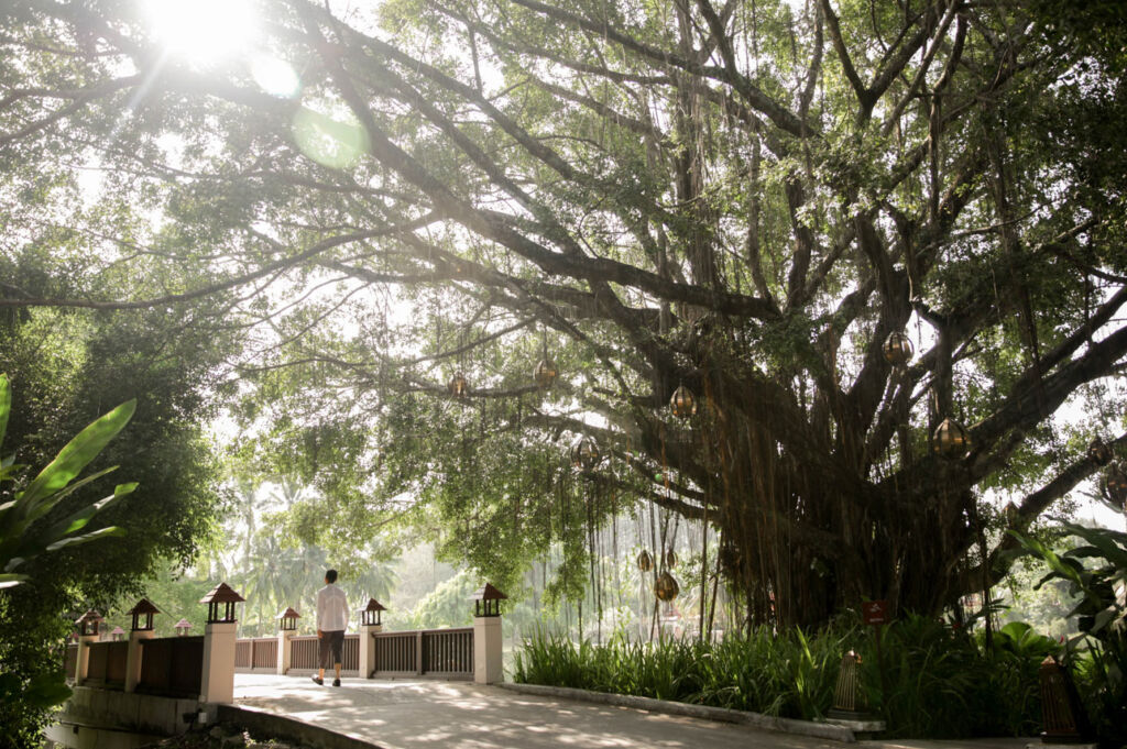 The New Banyan Tree Veya Phuket, Embraces the 8 Pillars of Wellbeing