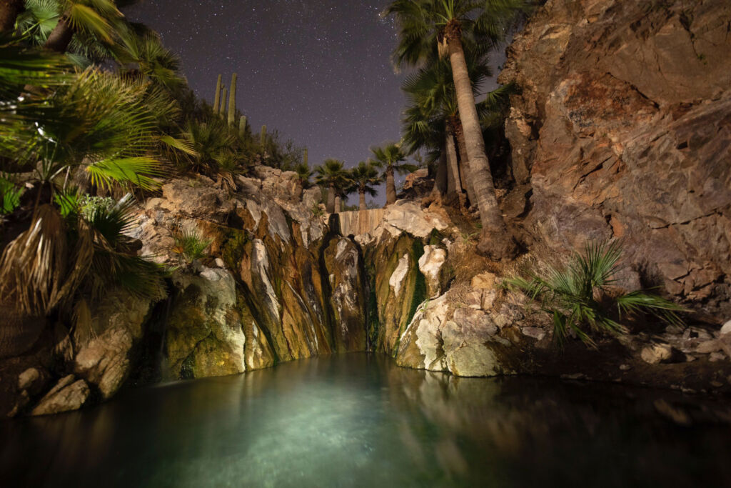 A natural pool surrounded by cactus at Castle Hot Springs at night