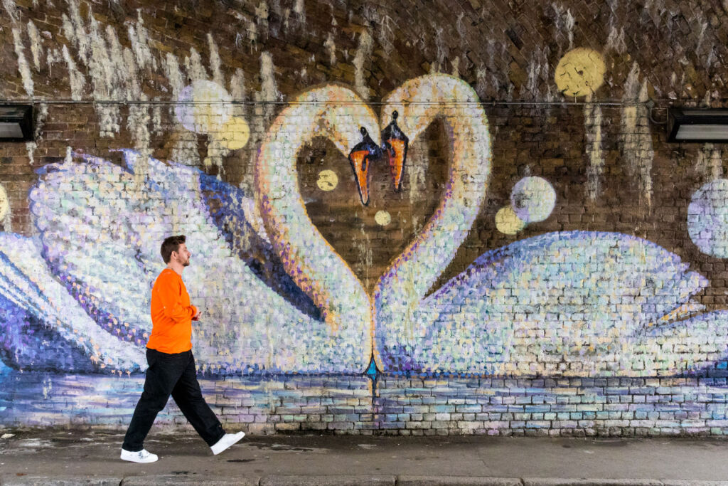 Daniel walking by Uk street art containing a pair of white swans