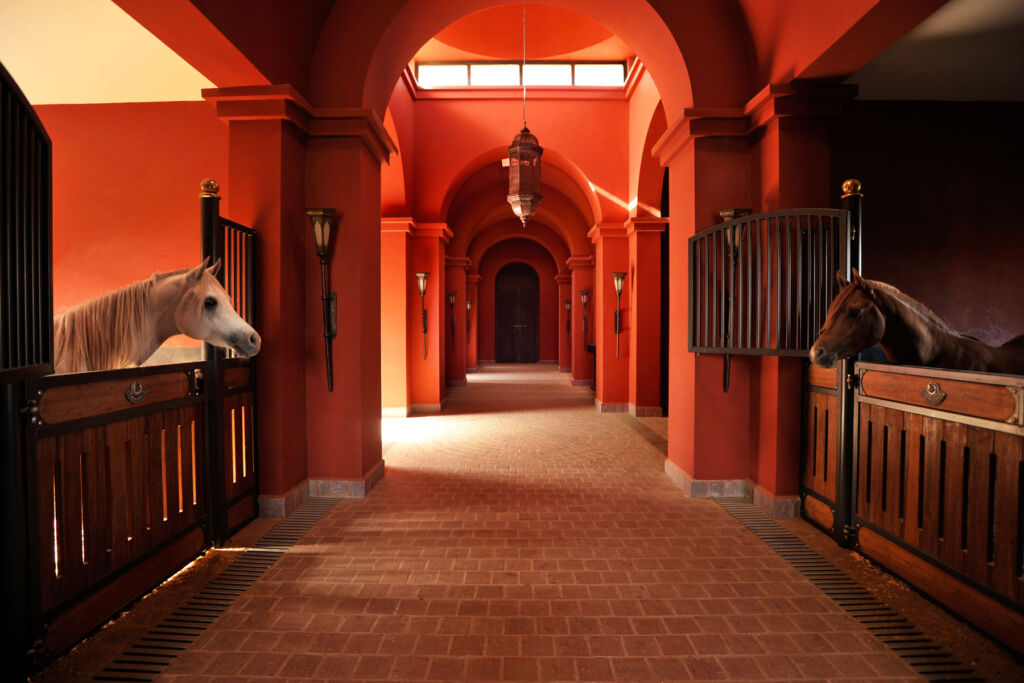 Horses enjoying the world class stables at the hotel