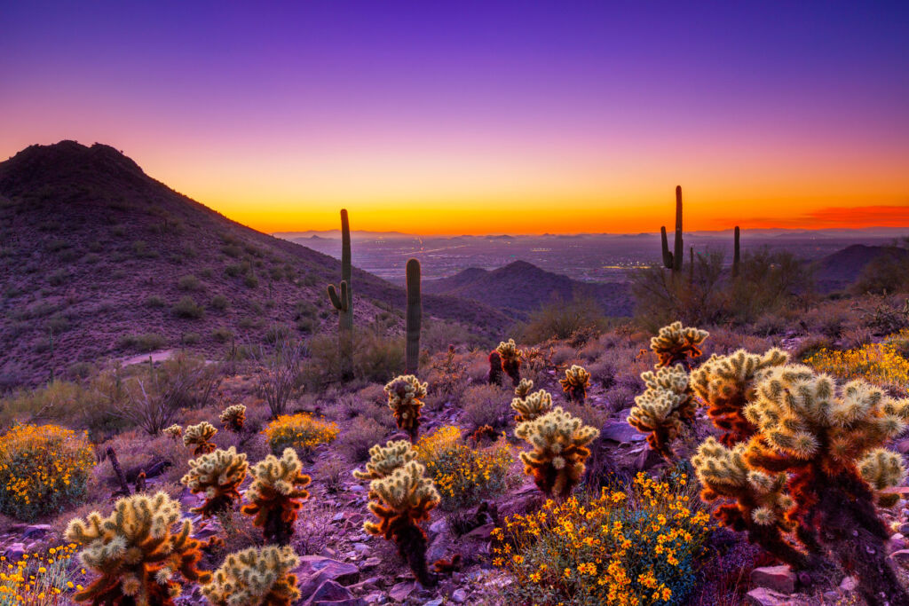 The incredible views at dusk over the McDowell Sonoran Preserve