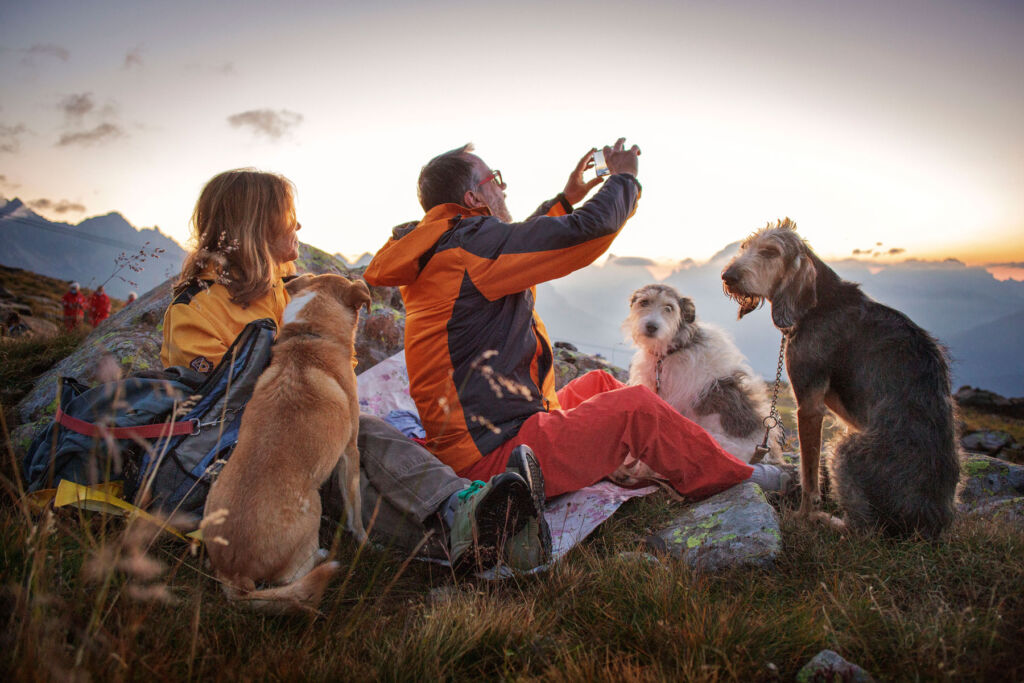 People taking a selfie in the mountains with their dogs