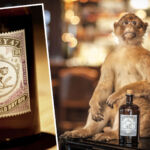 Entering the Wunderbar World of Monkey 47 Gin in Germany's Black Forest 10