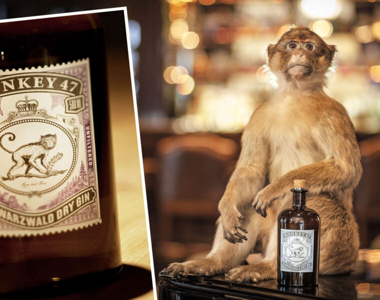 Entering the Wunderbar World of Monkey 47 Gin in Germany's Black Forest 11