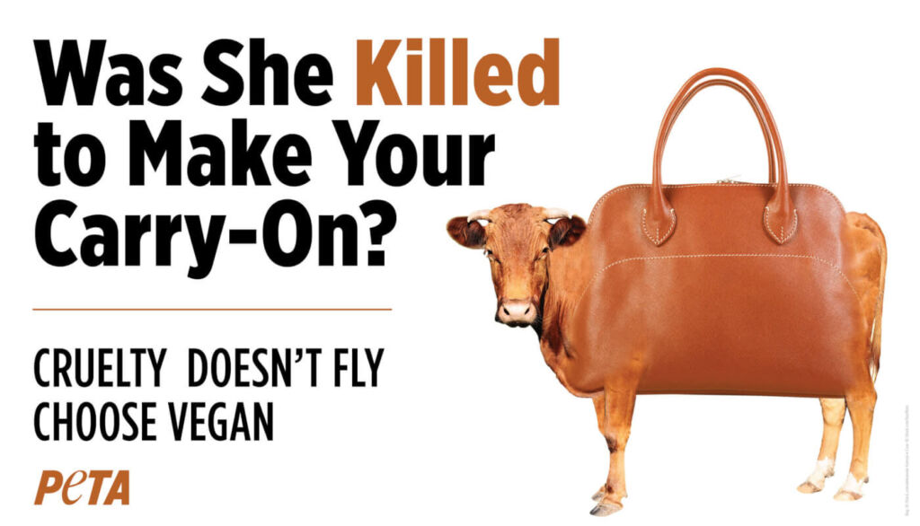 Are UK Airports Refusing PETA's Anti-leather Advert In The Right?