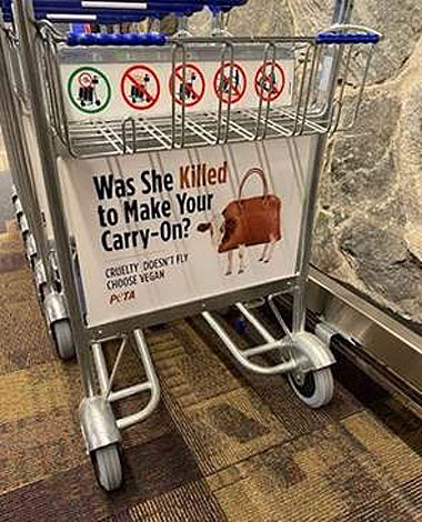 The advert on a trolley